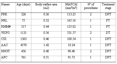 Braz J Cardiovasc Surg - The pulmonary vascular blood supply in