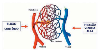 Braz J Cardiovasc Surg - 50 anos de circulação extracorpórea no