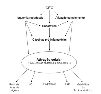 Braz J Cardiovasc Surg - 50 anos de circulação extracorpórea no