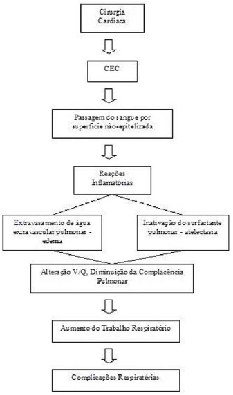 Braz J Cardiovasc Surg - Cuidados pré e pós-operatórios em