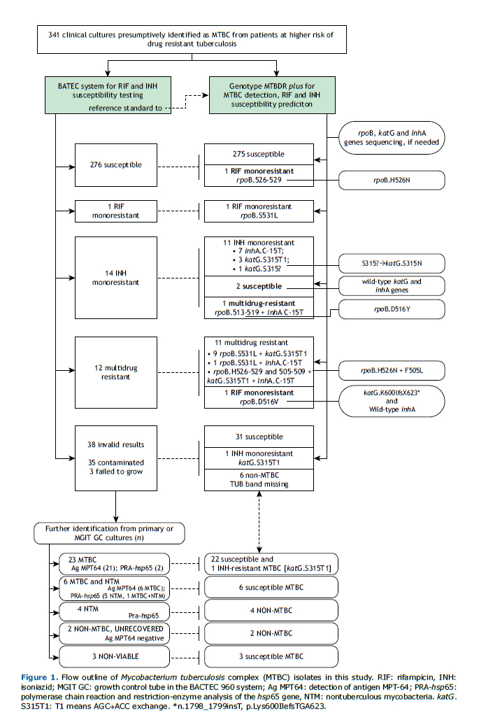 tradução - what does kkkk mean in Portuguese? - Portuguese Language Stack  Exchange