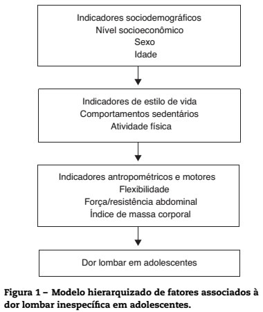 Modelo teórico hierarquizado dos possíveis fatores associados à