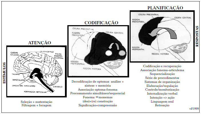 luria pensamento e linguagem