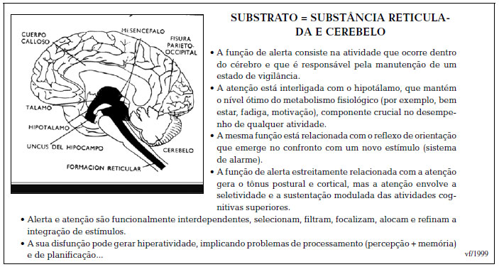 Jogo de Perguntas – Luria